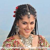 Tapsee Hot Stills | Picture 116206